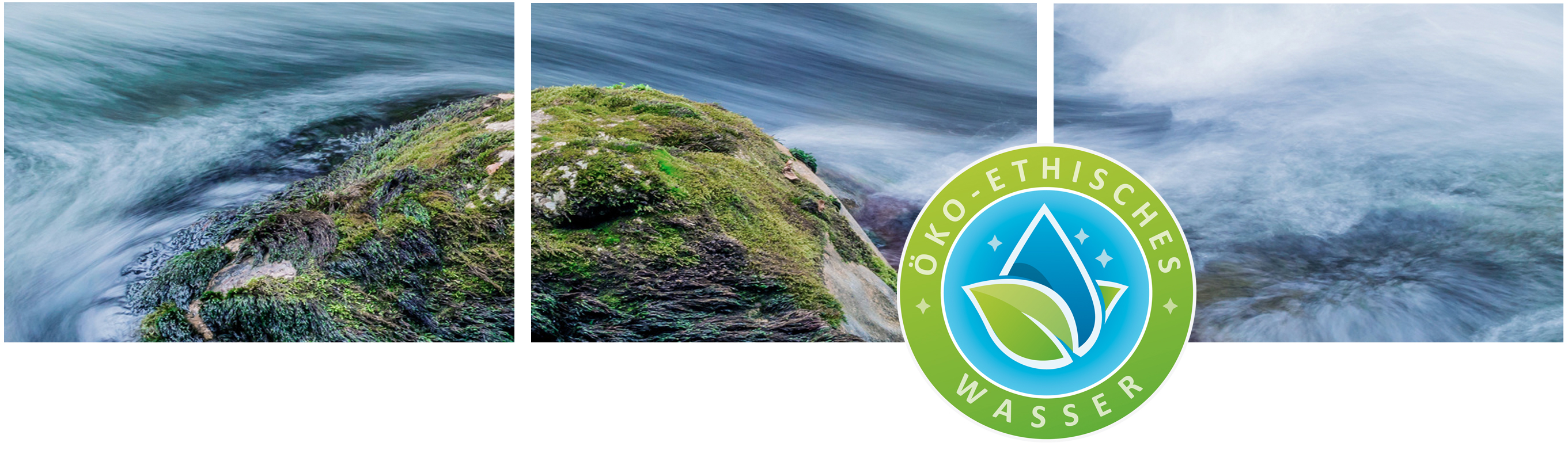 Aquion Wasserionisierer