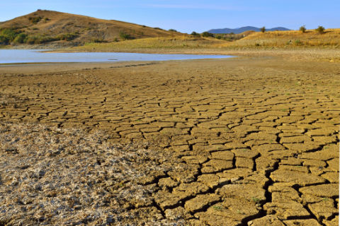 Plastikflaschen benötigen 450 Jahre für ihre Zersetzung